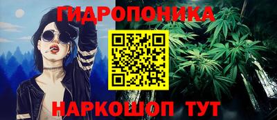 дурь Кингисепп