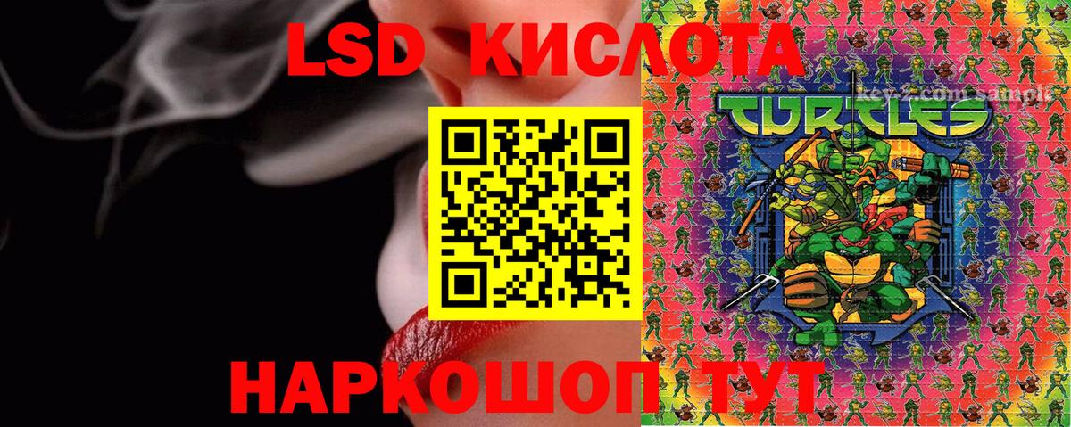Кудымкар  купить закладку  Вход с VPN  Марки N-bome 1500мкг  Марки N-bome 1500мкг 